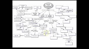 Answers Organic Molecules Concept Map