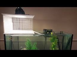 The most amazing turtle basking platform ideas turtleholic. 19 Diy Turtle Dock Projects How To Make A Homemade Turtle Dock