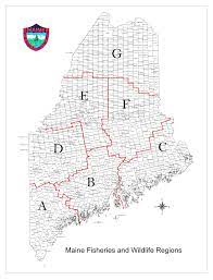 The 2021 moose permit lottery winners database is searchable by hunter's name or hometown. W M D M A P M A I N E Zonealarm Results