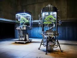 Paludarium Yasutoshi Perfekte Bonsai Okosphare In 2021 Bonsai Wind Japan