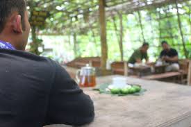 Maybe you would like to learn more about one of these? Melirik Budidaya Superfood Sacha Inchi Daun Biji Cangkang Hingga Ampasnya Bernilai Ekonomi Halaman All Kompas Com