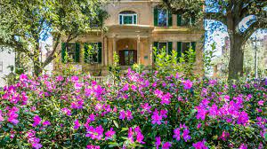 Springtime in georgia marks the beginning of beautiful flower blooms, warm afternoons outdoors and popular spring celebrations. Spring In Savannah Visitsavannah Com