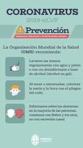 Coronavirus Alcohol Y Lavandina Son Mas Efectivos Si Se Diluyen En Agua Prensa Gobierno De Mendoza
