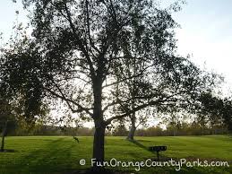 (photo by kevin sullivan, orange county. Irvine Regional Park For Play Zoo Railroad Lake Pony Rides