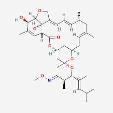 Image result for Moxidectin