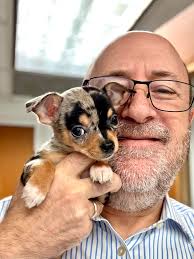 Meet Dr. Victor Koos — he previously worked with us as a tech and with Dr.  Fried's encouragement attended veterinary school at Cornell. After a couple  of years at a practice in