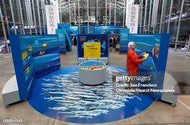 109 Multiple Speed Boats Stock Photos, High-Res Pictures, and Images