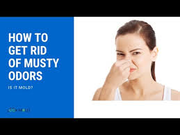 Every two to four weeks depending on how damp the basement is, take the charcoal. How To Get Rid Of Basement Odor 10 Easy Methods Oh So Spotless