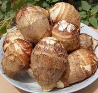 Chinese Frozen Taro - Instant Snacks & Wholesale Supplies
