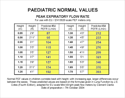 free 5 peak flow chart templates in pdf