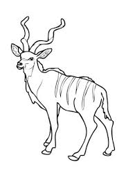 Free printable antelope coloring pages. African Woodland Antelope Kudu Coloring Page Supercoloring Com Animal Coloring Pages Easy Coloring Pages Coloring Pages