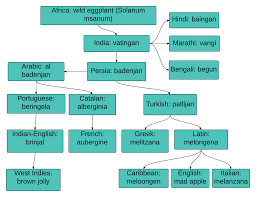 Aubergine (from the french), brinjal (south african and south asian), guinea squash (southern american) and finally melongene, the word used in the caribbean. A Thousand Names For Eggplant The Odd Pantry