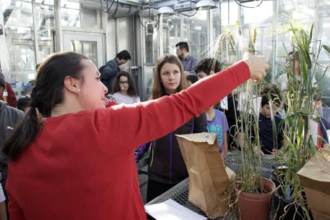 Barley experiment reveals plant science to fifth-graders – UW–Madison News