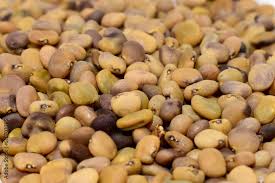 Image result for Cyamopsis