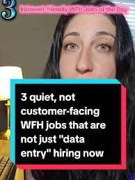 3 Non-Customer-Facing WFH Jobs for Introverts
