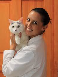 We take a look at who may be able to help. Fear Free Visits Promote Better Veterinary Care