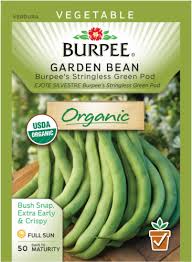 Pods are meaty, juicy and entirely stringless. Burpee Organic Stringless Green Pod Garden Bean Seeds 1 Ct Jay C Food Stores