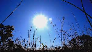 DF tem dia mais quente do ano com 31,3°C; calorão deve continuar, diz meteorologista