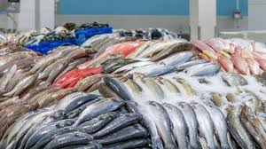 Warna dari ikan ini biasanya berwarna merah muda ke merah. Jenis Ikan Yang Tak Boleh Dimakan Anak Anak Ahli Ungkap Bahayanya Blog Tribunjualbeli Com