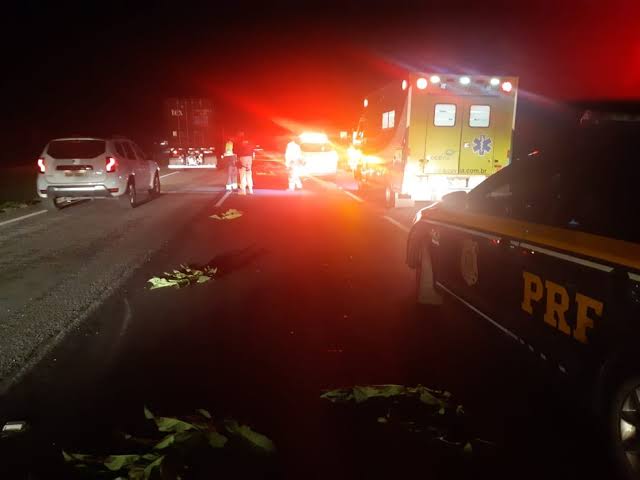 Resultado de imagem para atropelamento br"