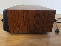 Image result for Teaberry T-Dispatch