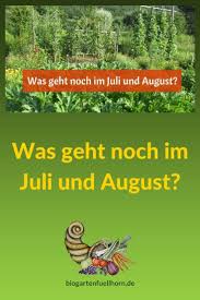 Was Geht Noch Im Juli Und August Biogarten Fullhorn Garten Bepflanzen Garten Hochbeet Pflanzen