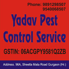Pest problems and pest control services in gurgaon. Yadav Pest Control Service Home Facebook