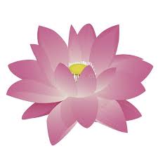 Lotus Flower Sponsored Affiliate Ad Flower Lotus Flower Illustration Illustration Lotus Flower