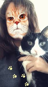 Mar 27, 2021 · staring cat / swag cat / gusic staring cat, also known as gusic and swag cat, refers to a ginger cat known for his photographs in which it stares directly at the camera. The Snapchat Cat Filter Shows How Little We Know About Cat Cognition The Verge