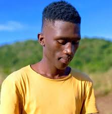 What milpds job does srid fall under?