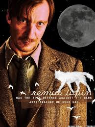 Who is the best DADA teacher in Harry Potter?