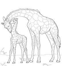 Learning friends dog baby animal coloring printable from leapfrog. Baby Giraffe And Mother Coloring Page Free Printable Coloring Pages Giraffe Coloring Pages Giraffe Colors Baby Giraffe