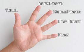Less commonly referred to as the long or tall finger , the digitus medius manus sits in the according to world wide words , pinkie was used by scots to refer to something small, as explained in an etymological dictionary of the scottish. Know The Meaning Of Ring On Each Finger Tungsten Wedding Bands