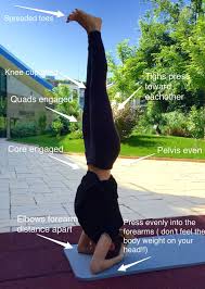 Headstand Tips Headstand Sirsasana Sirsa Means Head In The Ancient Hata Yoga Texts Headstand Has Been Called T Hata Yoga Asanas Ejercicios De Yoga Ejercicios
