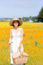 Check spelling or type a new query. Where To Find The Flower Fields In Northern California