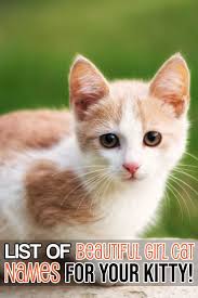 Black And White Kitten Names Unisex Here Is A List Of The Most Beautiful Girl Cat Names For Your Cat Girl Cat Names Kitten Names Girl Cat Names