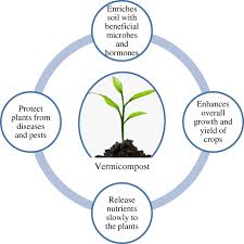 At pest control newmarket, our technicians have the knowledge as well as years of experience in handling pest problems, both big and small. Sustainable Management Of Diseases And Pests In Crops By Vermicompost And Vermicompost Tea A Review Springerlink