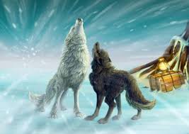 We have a massive amount of hd images that will make your computer or smartphone. Anime White Wolf Wallpapers Wallpaper Cave