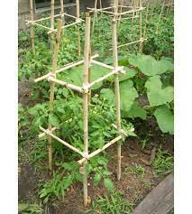 Homemade Bamboo Tomato Cages Vegetable Garden Design Tomato Trellis Bamboo Garden