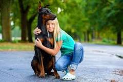 Are Dobermans Good With Kids? Pros & Cons – Dogster