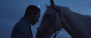 The rider premiered in the 2017 cannes film festival's director's fortnight selection and won the art cinema award. The Beginner S Guide To Chloe Zhao