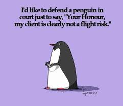 I Love Penguins Lawyer Humor Lawyer Jokes Legal Humor