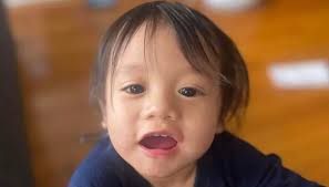 Family demands justice after hit-and-run leaves toddler dead in Albany Park 