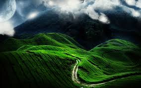If there is no picture in this collection that you like, also look at other collections of backgrounds on our site. Nature S Hd Wallpaper 1680x1050 39256
