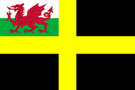 Assorted flag pin lot, national flag flags of the world icon, ball countries flags summary, miscellaneous, flag, united states png. File Flag Of St David With Welsh Red Dragon Png Wikipedia