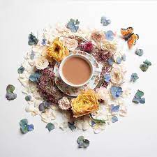 Pin On Flowers Cap Table