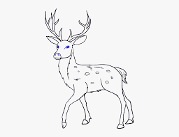 Check spelling or type a new query. How To Draw Deer Deer Easy To Draw Hd Png Download Transparent Png Image Pngitem