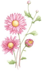 Aster Aster Flower Tattoos Birth Month Flowers Birth Flower Tattoos