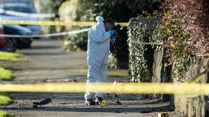 Crime Scene - This American Life