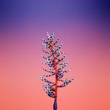 Pin En Ios 11 Wallpaper